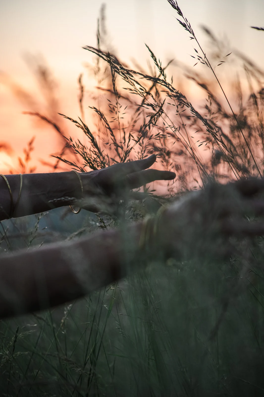 Newsletter — rester en lien